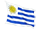 uruguays flag